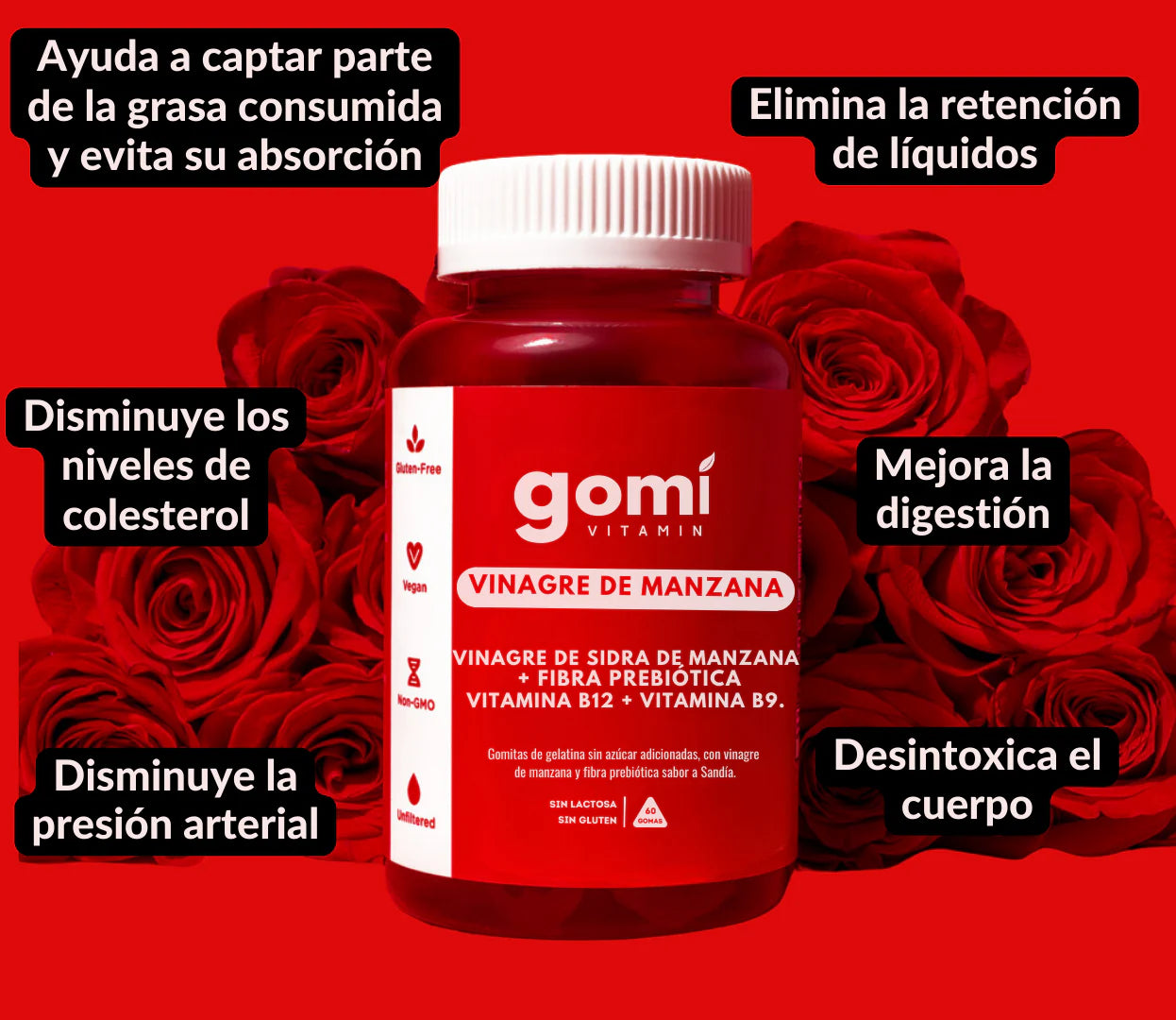 GomiFit